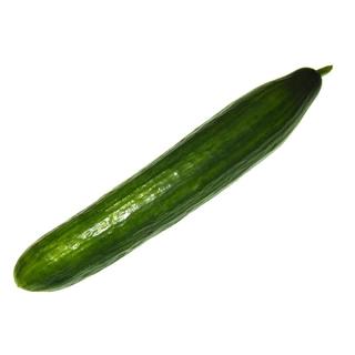 Gurke