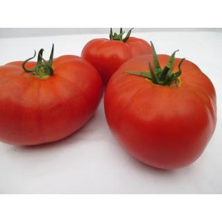Fleischtomaten