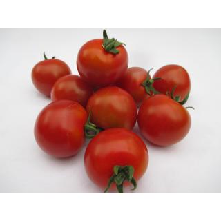 Honigtomaten Rispe extra süß