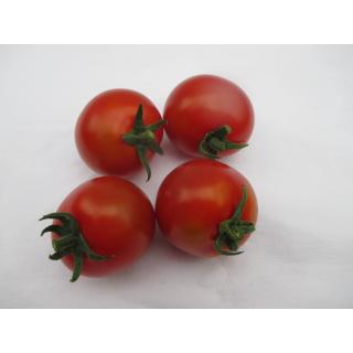Cocktailtomaten groß "Romanella"