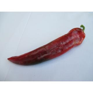 Paprika spitz grün