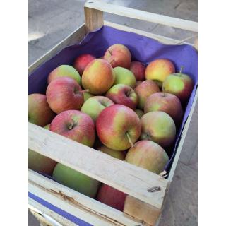 Äpfel "Fuji", Kiste 10 kg