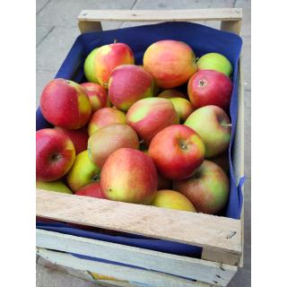 Äpfel "Braeburn", Kiste 10 kg