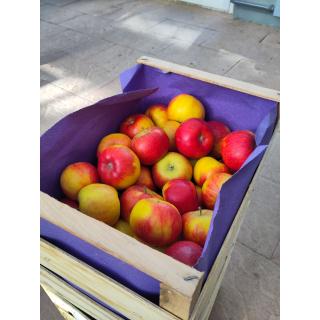 Äpfel "Topas", Kiste 10 kg