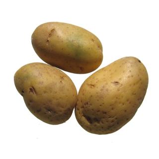 Speisekartoffel "Karelia"  12,5 kg Sack, mehlig kochend