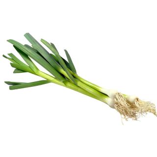 Knoblauch frisch mit Stängel