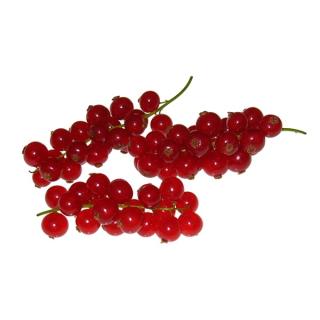 Johannisbeeren rot 250 gr