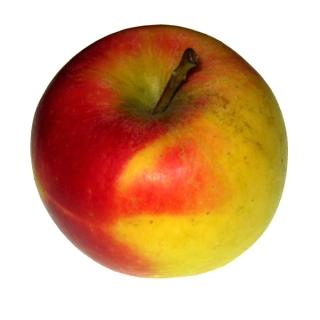 Äpfel der Woche: "Jonagold"