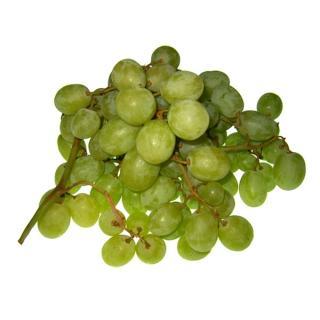 Trauben weiß "Fanny"