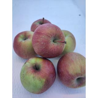 Äpfel "Fuji"