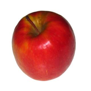 Äpfel "Gala"