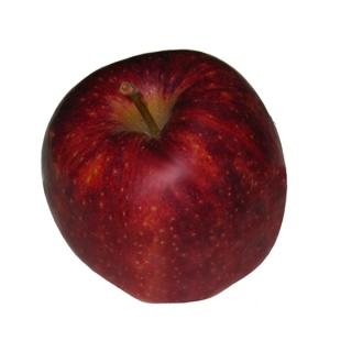 Äpfel "Jonagold"