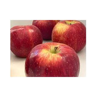 Äpfel "Summerred