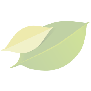 Äpfel "Pinova"