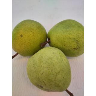 Birnen "Alexander Lukas"