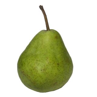 Birnen "Guyot"